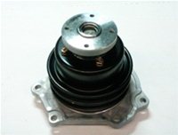 WP11005