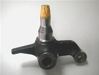 KR40029