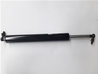 GS52028
