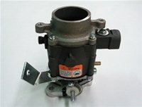 CA21009
