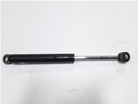 GS52102