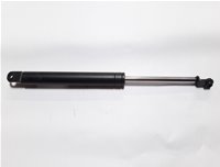 GS52019